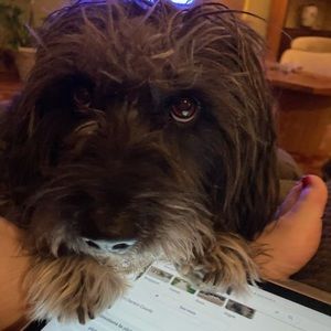 Meet your Posher, Beth